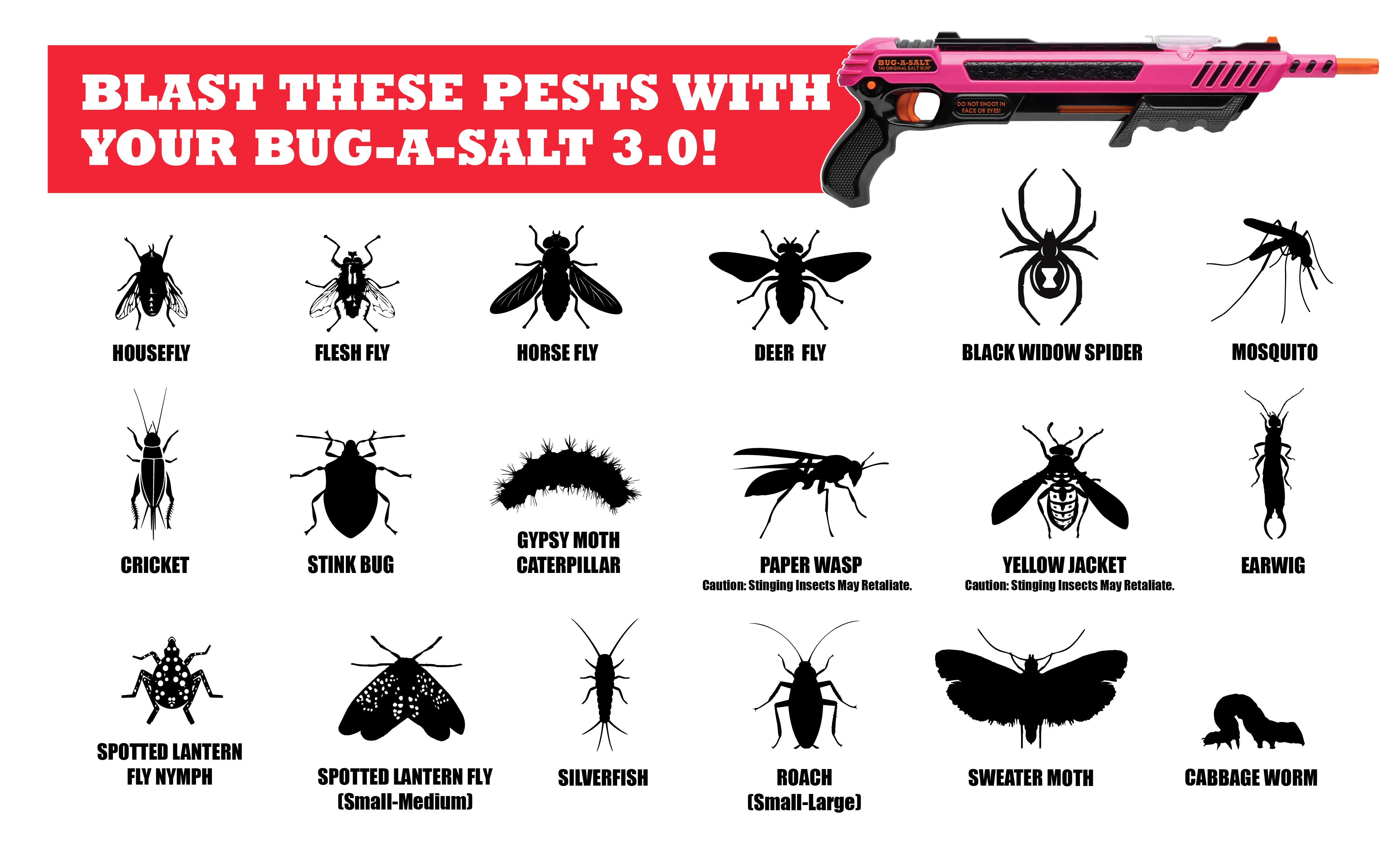 PASSION ASSASSIN 3.0 & BUG-BEAM LASER PACK